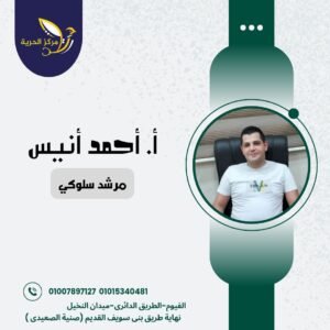 أ / أحمد أنيس
